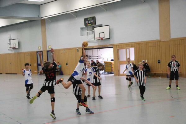 Saionsauftakt der E-Jugend-Handballer in Hersbruck